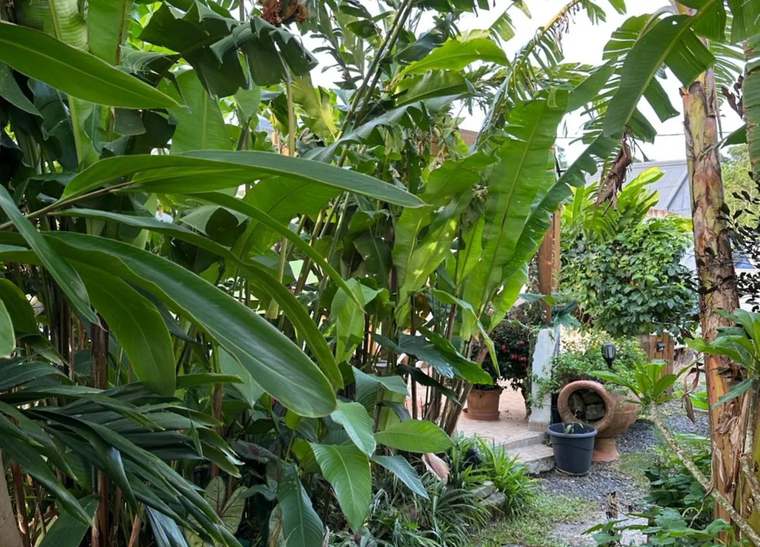Holiday home Au Coeur De La Plaine 2 Villa Capesterre-Belle-Eau Guadeloupe